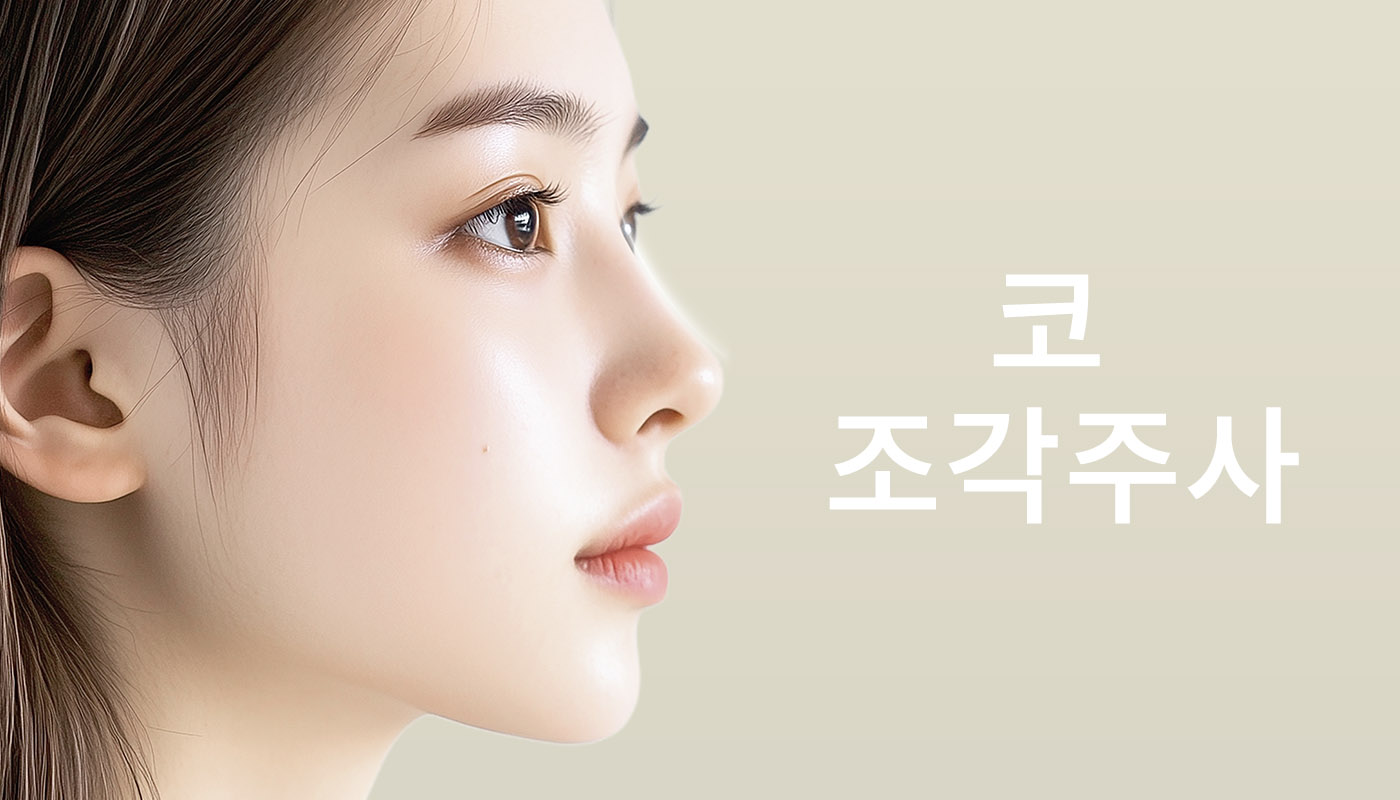 코 조각주사