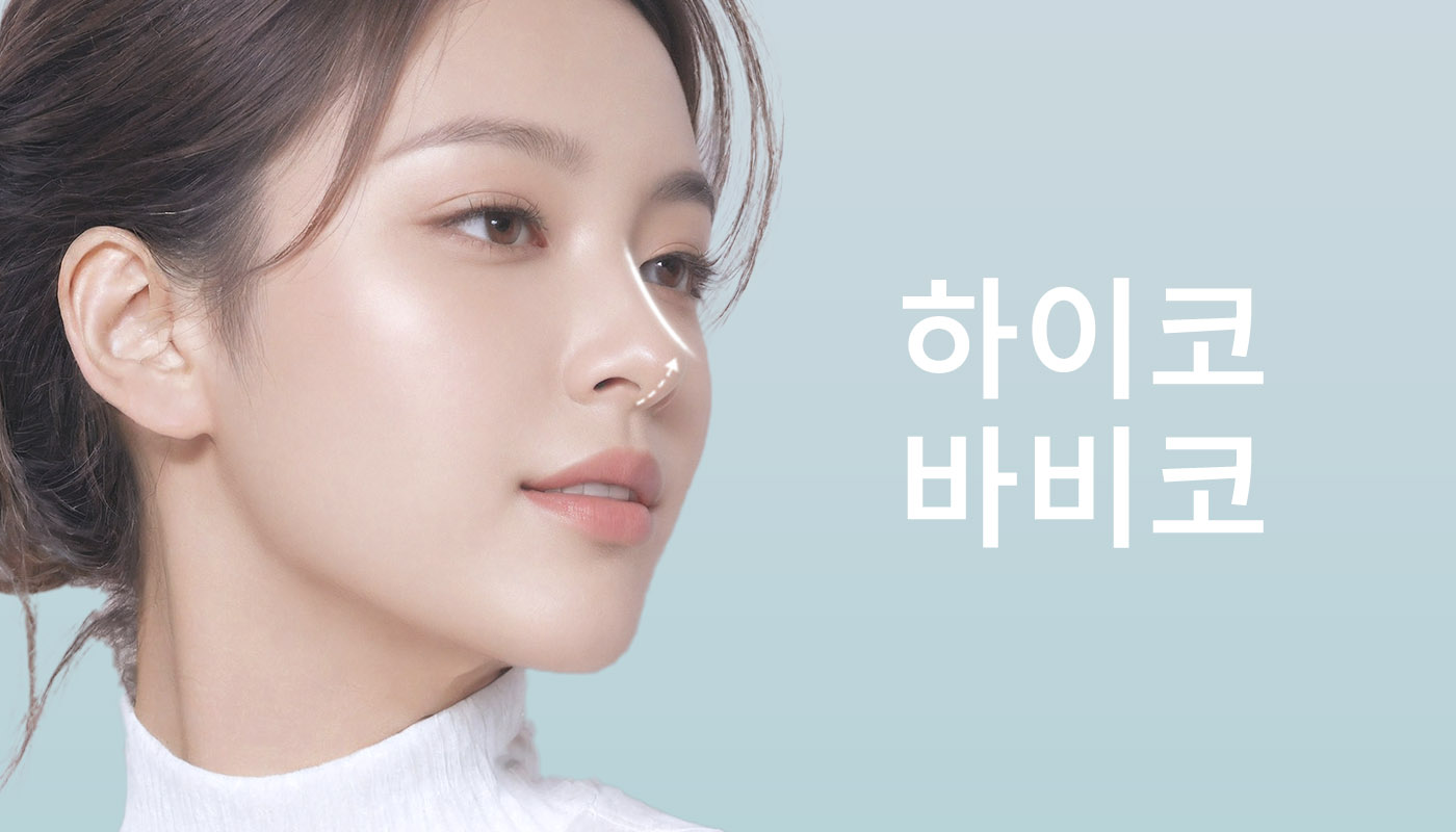 하이코/바비코