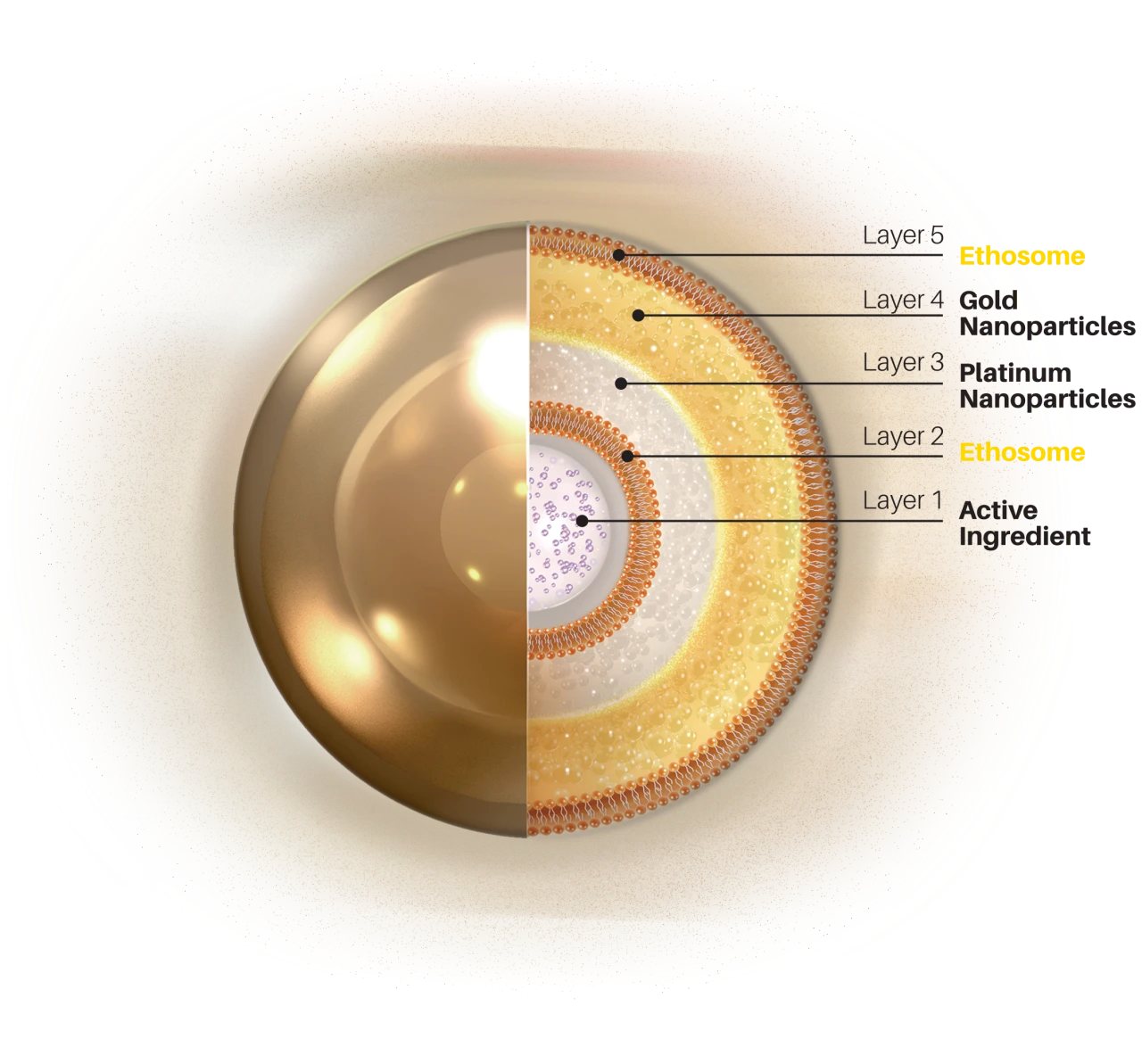 Ethosome PTT official illustration, Beauty Z Skin Clinic Myeongdong