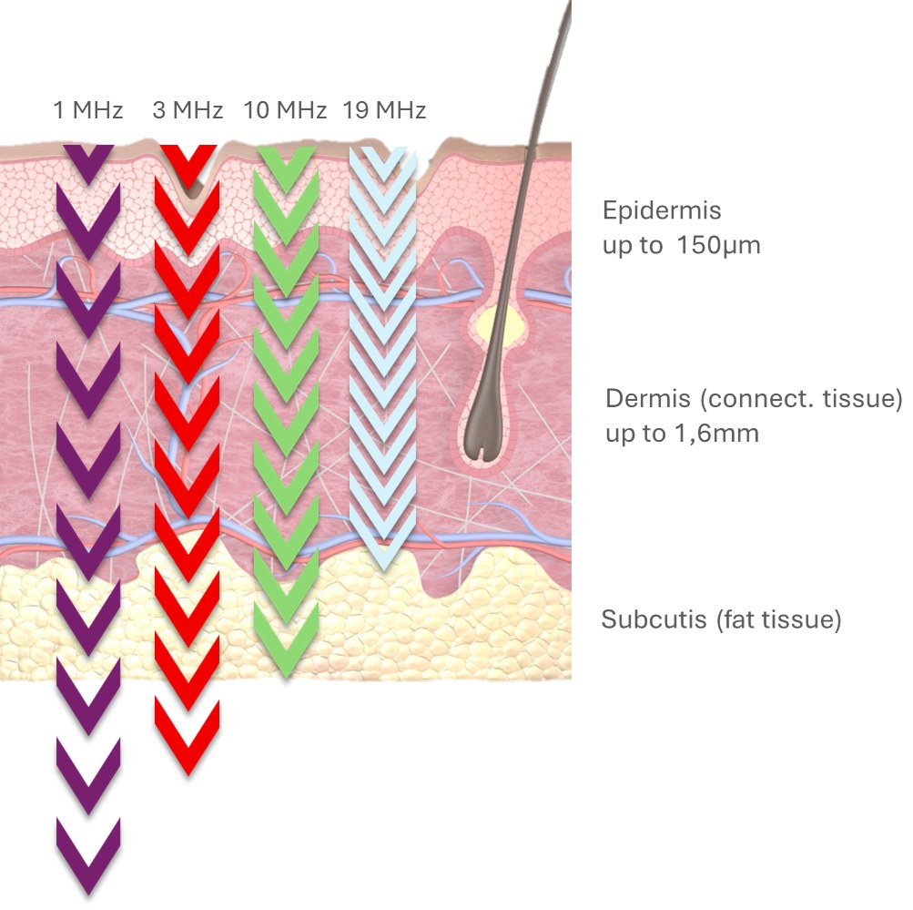 LDM official illustration, Beauty Z Skin Clinic Myeongdong